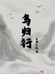  鸟归行