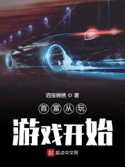  首富从玩游戏开始