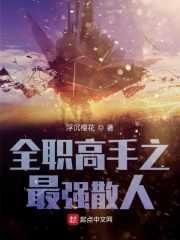  全职高手之最强散人