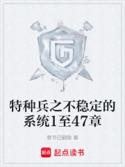  特种兵之不稳定的系统1至47章
