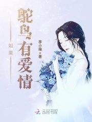  如果鸵鸟有爱情