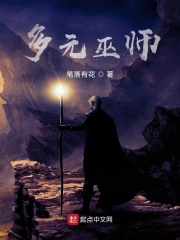  多元巫师