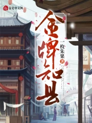  金牌知县